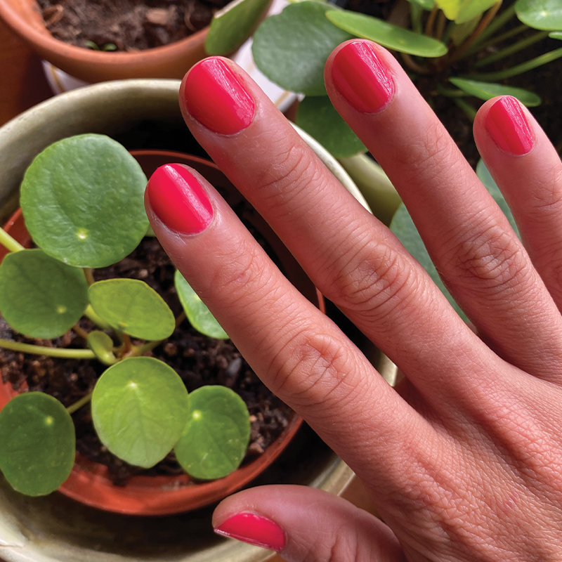 Hand with nails painted smooth and glossy in Hibiscus bright tropical pink polish over green potted plants
